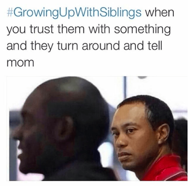 This image has an empty alt attribute; its file name is image-33.png